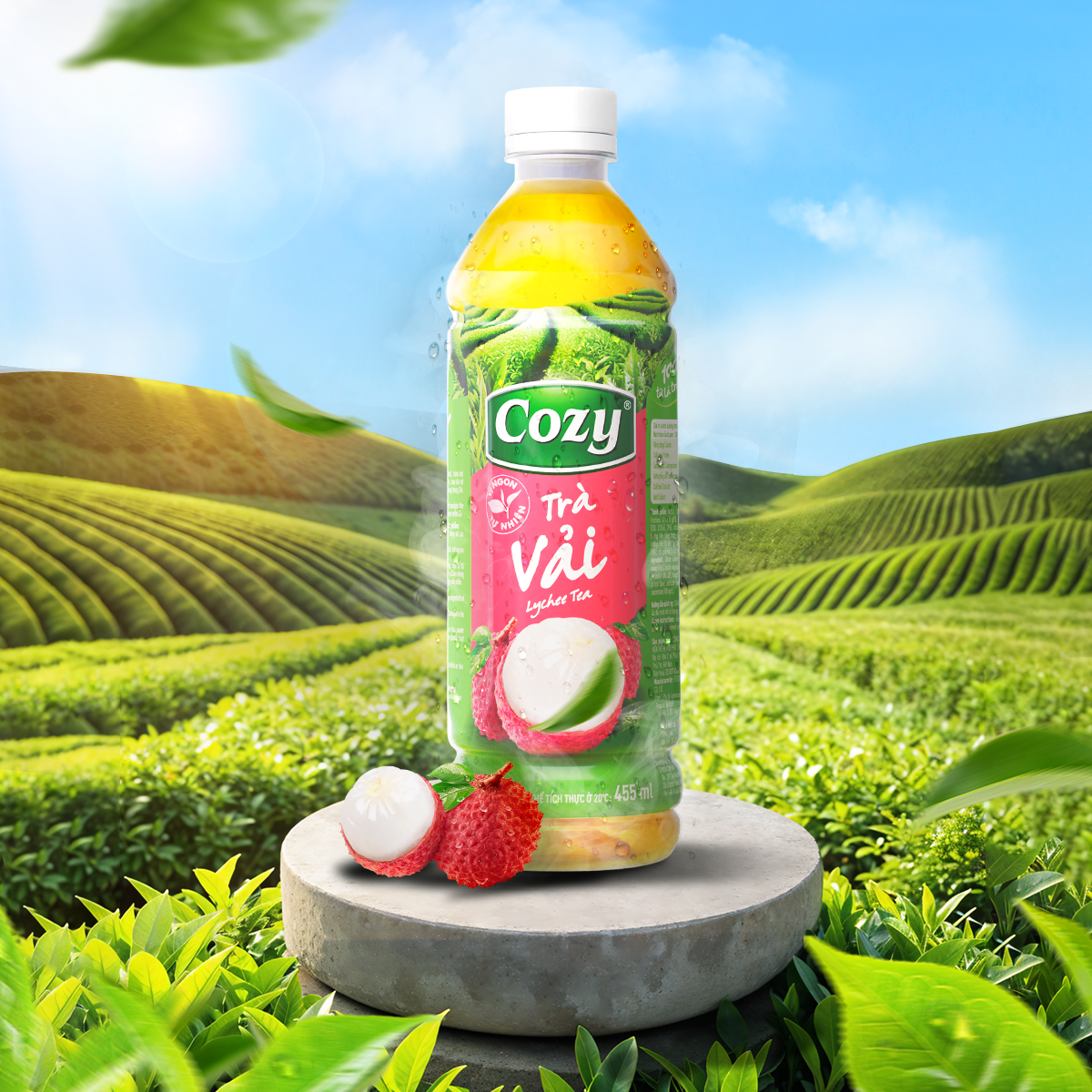 TRA COZY CHAI_AVA_WEB_VAI
