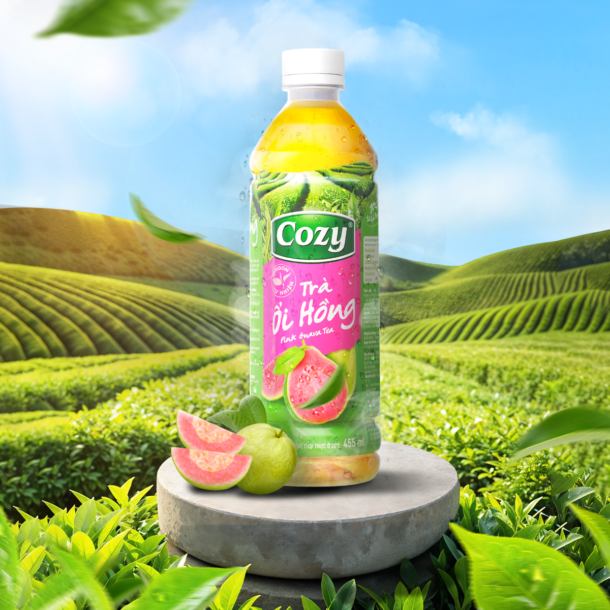 TRA COZY CHAI_AVA_WEB_OI HONG